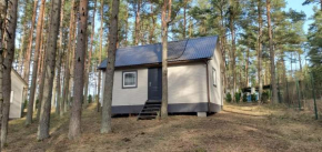 Sunny house 2 near the beach, Jūrmala